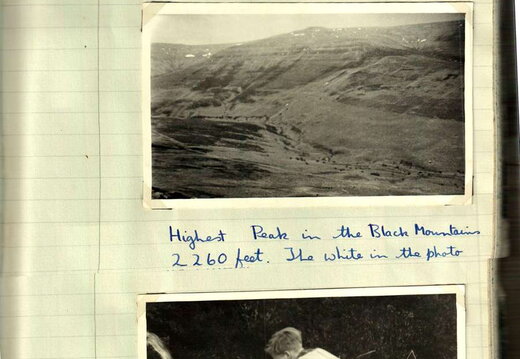 PTDC0004